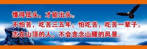 kaiyun官方网站:蒸馏塔塔顶压力怎么确定(精馏塔塔顶压力升高的原因)
